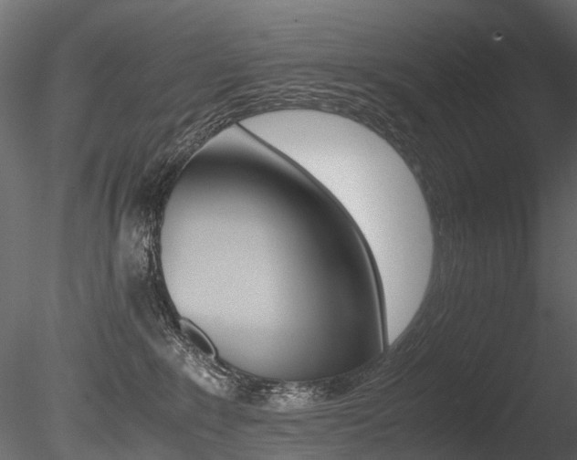 X0000085840235200703161359