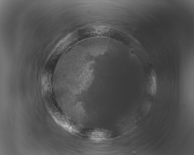 X0000085840236200703161359