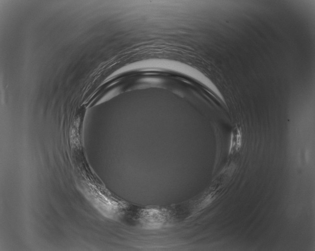 X0000085840239200703161359