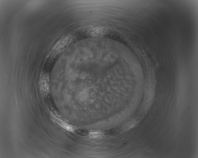 X0000085840240200703161359