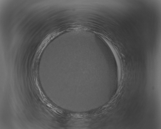 X0000085840241200703161358