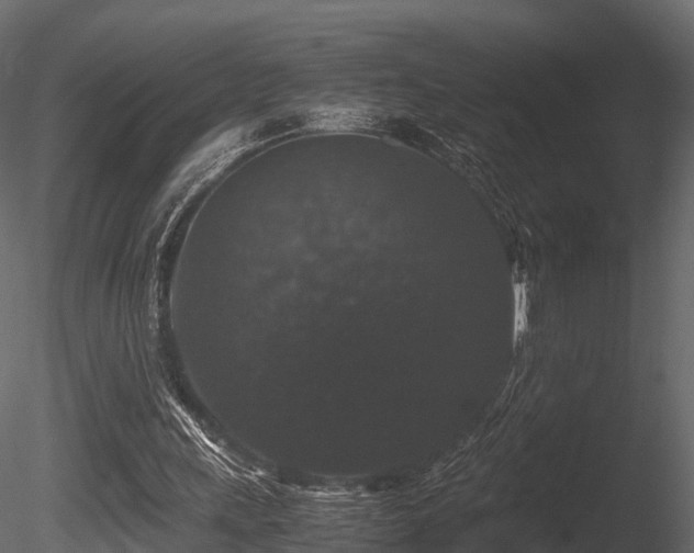 X0000085840243200703161358
