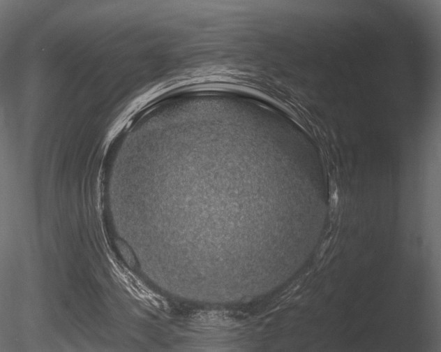 X0000085840244200703161358