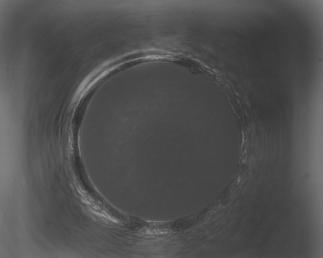X0000085840247200703161358