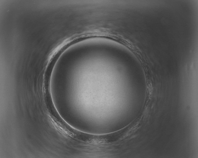 X0000085840248200703161358