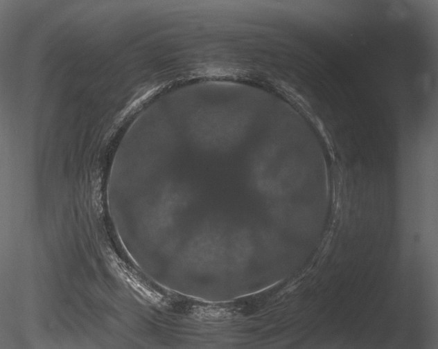 X0000085840249200703161358