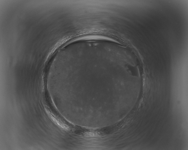 X0000085840250200703161358