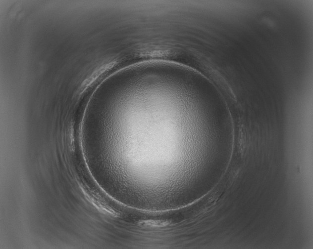 X0000085840251200703161358