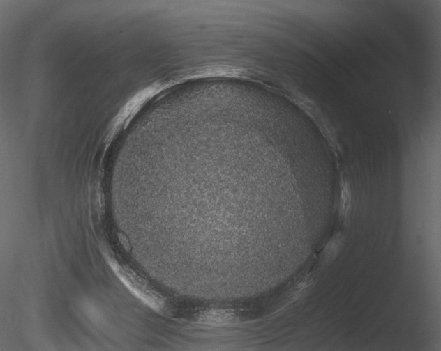 X0000085840252200703161358