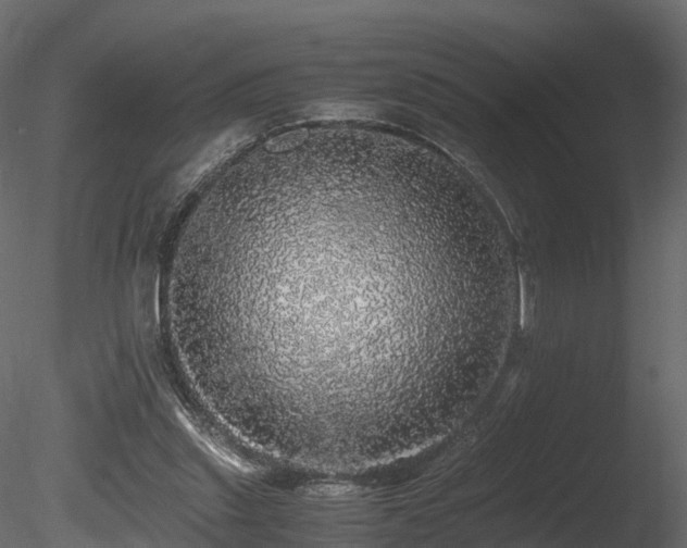 X0000085840253200703161358