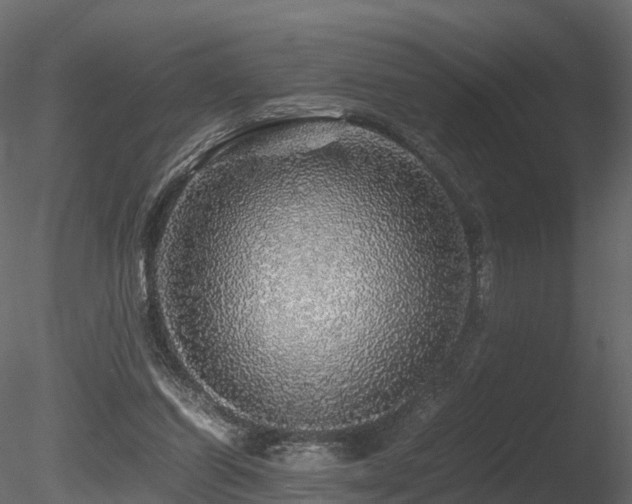 X0000085840254200703161358