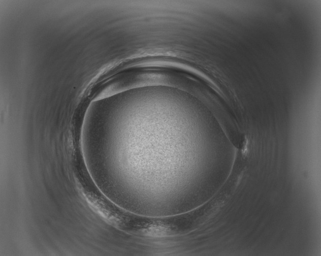 X0000085840256200703161358