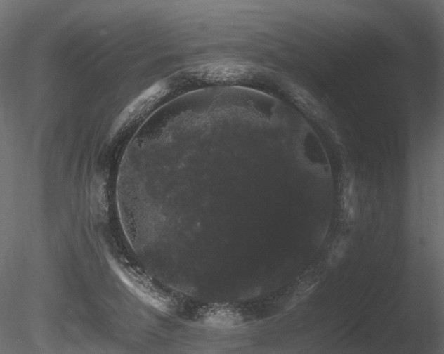 X0000085840258200703161358