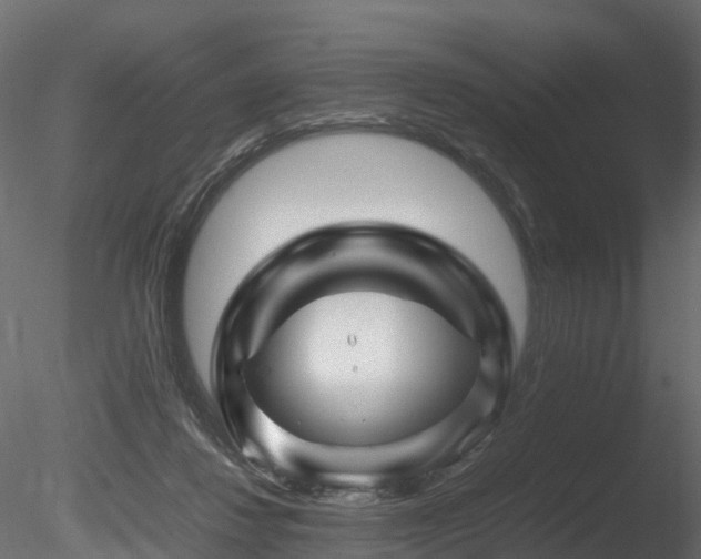 X0000085840260200703161358
