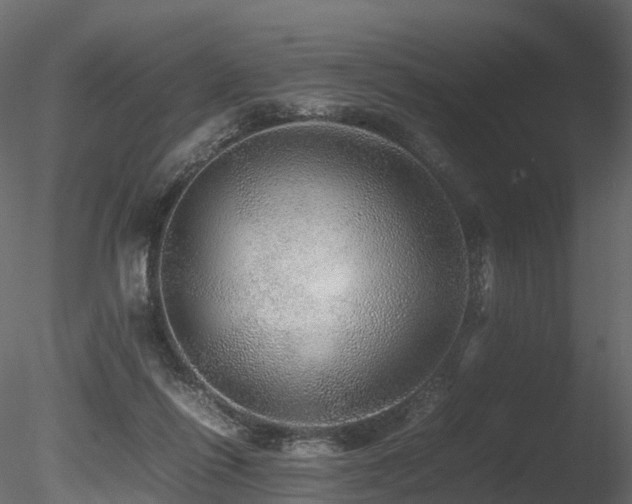 X0000085840262200703161358