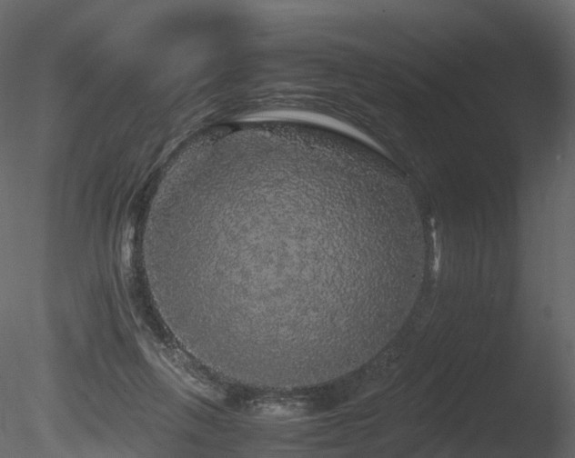 X0000085840263200703161358