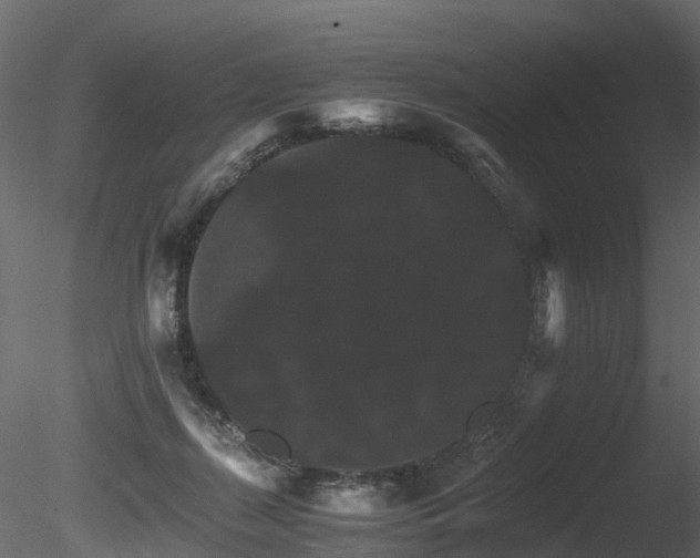 X0000085840267200703161358