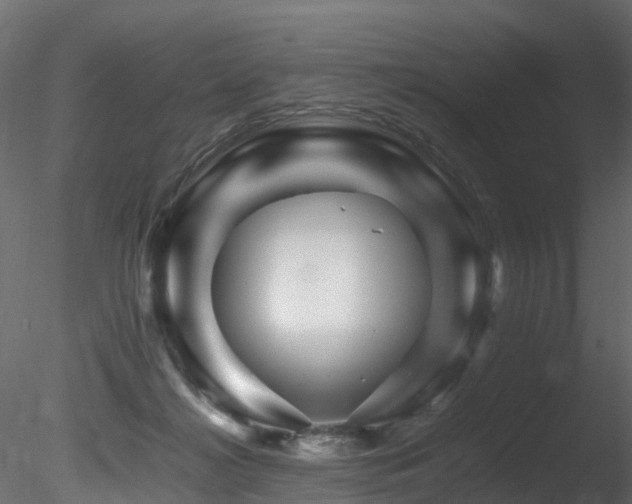 X0000085840268200703161358