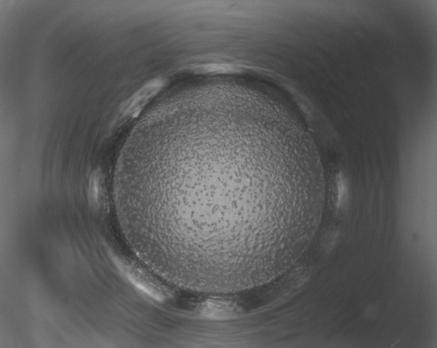 X0000085840270200703161359