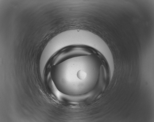 X0000085840272200703161359