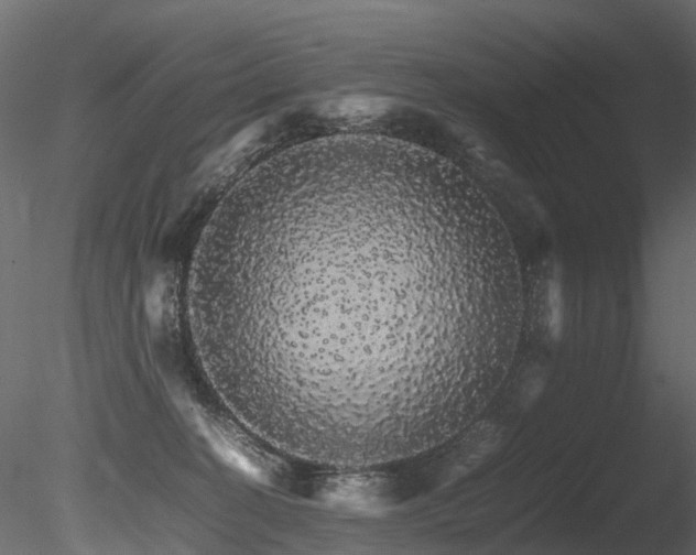 X0000085840274200703161359