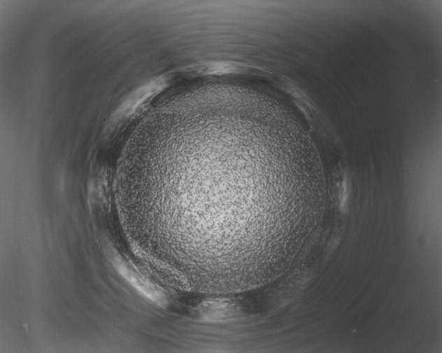 X0000085840280200703161359