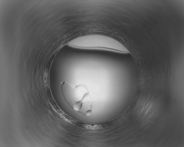 X0000085840281200703161359