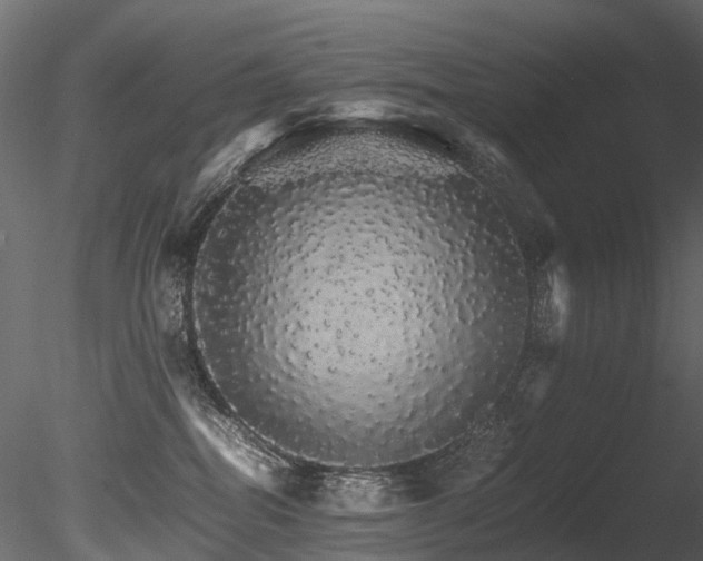 X0000085840282200703161359