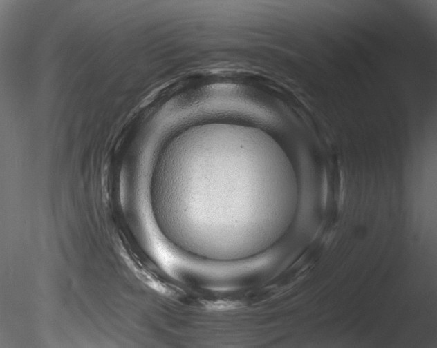 X0000085840283200703161359