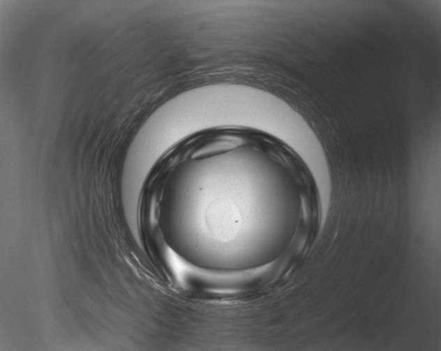 X0000085840284200703161359