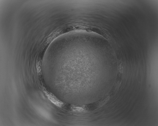X0000085840285200703161359