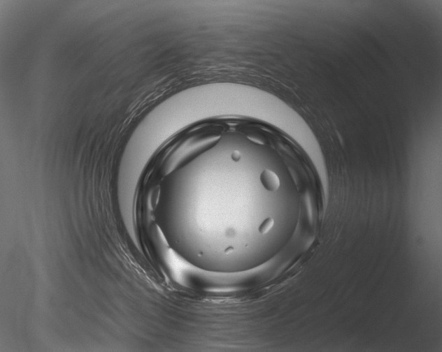 X0000085840286200703161359