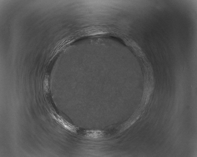 X0000085840288200703161359
