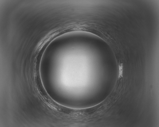 X0000085840291200703161358