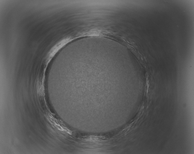 X0000085840292200703161358
