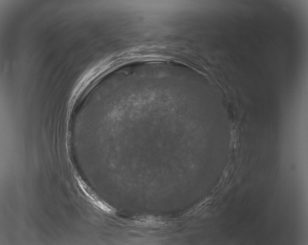 X0000085840293200703161358