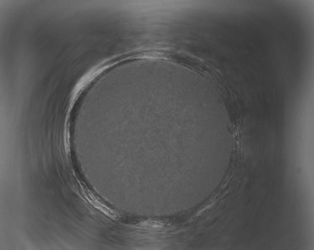 X0000085840294200703161358