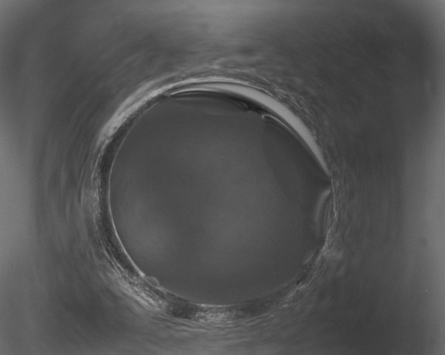 X0000085840295200703161358