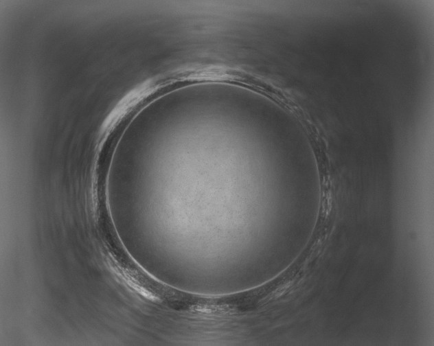 X0000085840296200703161358