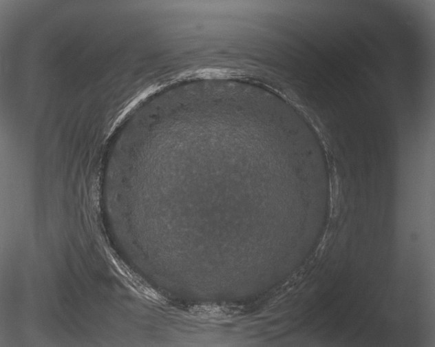 X0000085840297200703161358