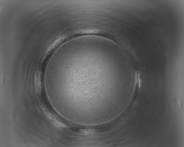 X0000085840300200703161358