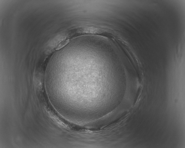 X0000085840305200703161358