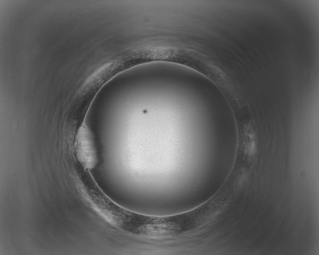 X0000085840307200703161358