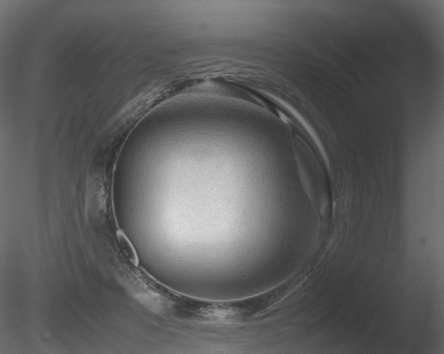 X0000085840313200703161358