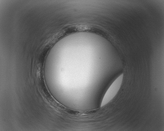 X0000085840315200703161358