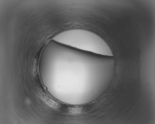 X0000085840318200703161357