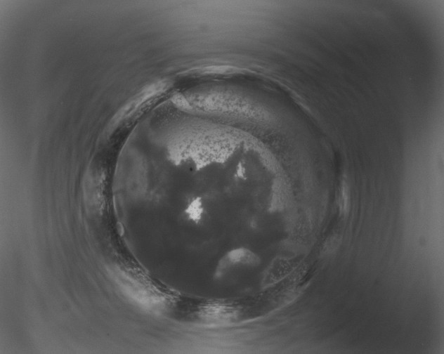 X0000085840319200703161357