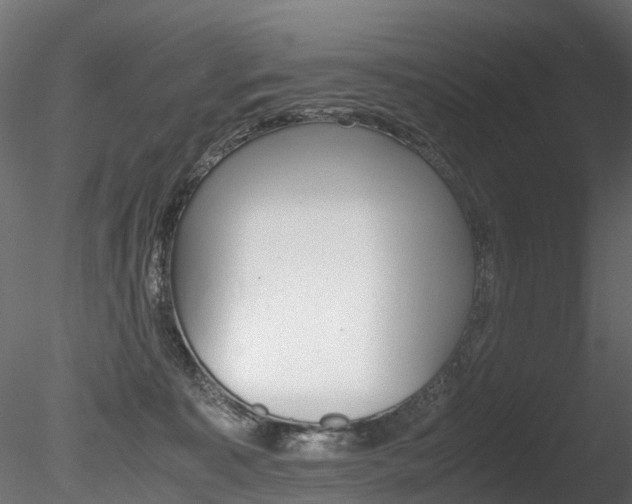 X0000085840323200703161357