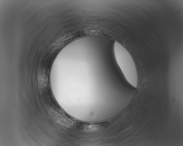 X0000085840324200703161357