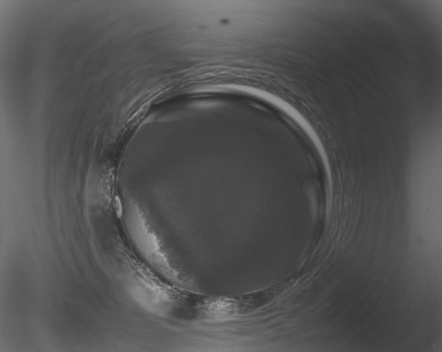 X0000085840325200703161357